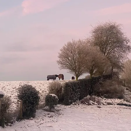 L' Instant D' Nuit Mettet